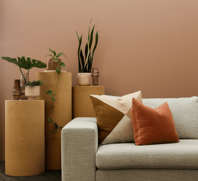 Sofa and Vase Image